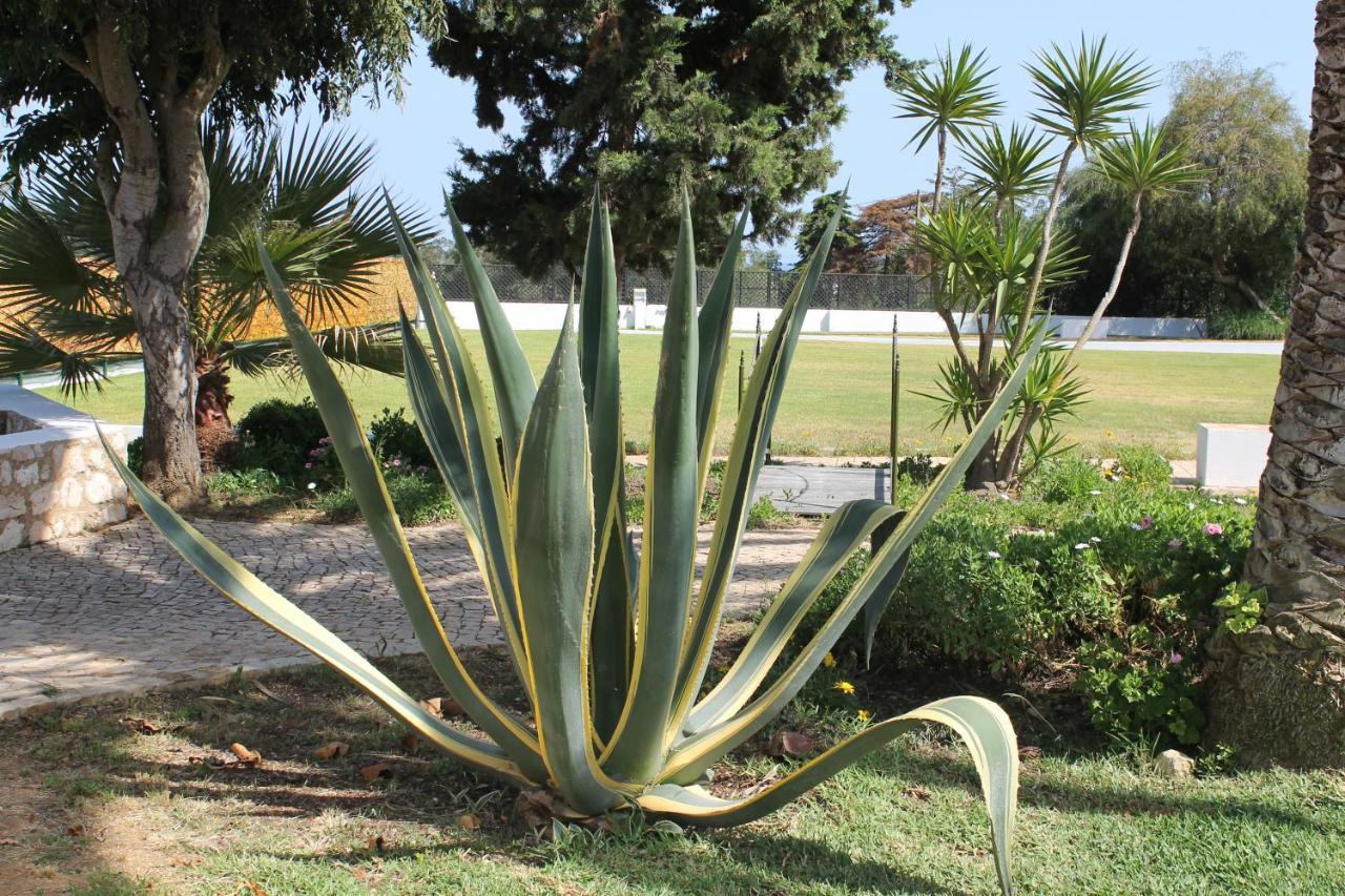 CASA BEACHCOMBER Le jardin des Arts Lagos Exterior foto